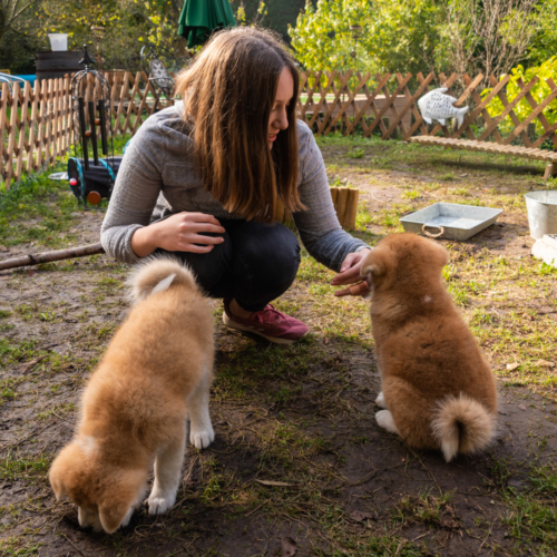 Anja und Fleckchen und Calmsy