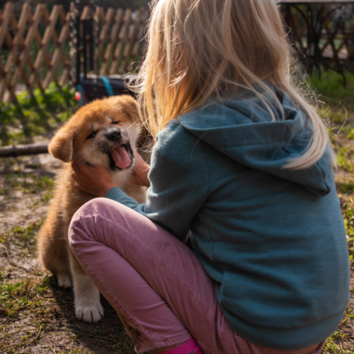 Agnes und Beau