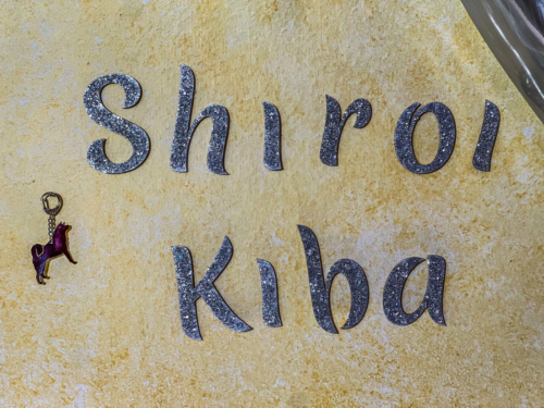D-Shiroi-Kiba