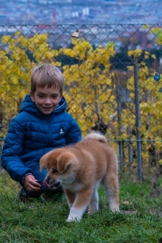 Wir lernen Kinder kennen.