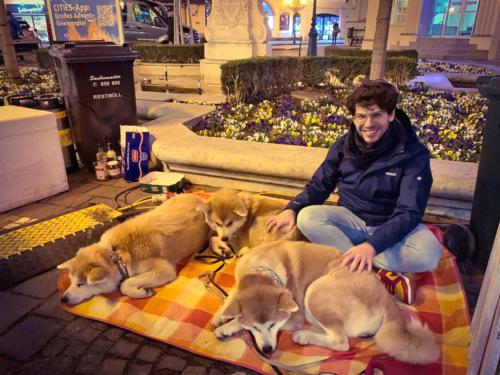 die Nacht vor der Empfängnis